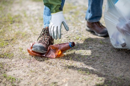 Garden clearance process with tools and debris removal